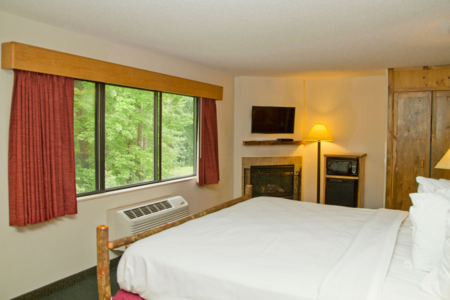  guest room with one king bed, forest view, and fireplace